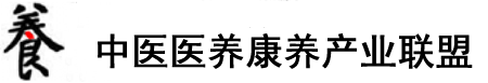 啊!大鸡巴操的骚逼好爽视频